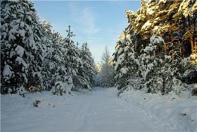 像素版老滚5 《World of Anterra》开启众筹